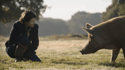A white woman with short brown hair wearing a brown coat and jeans bending down in a grass field happily looking at a pig